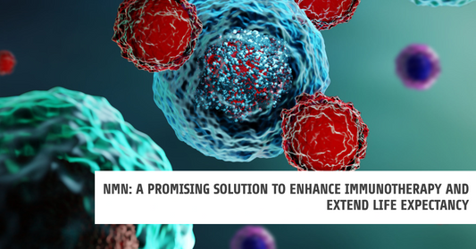 NMN: A Promising Solution to Enhance Immunotherapy and Extend Life Expectancy