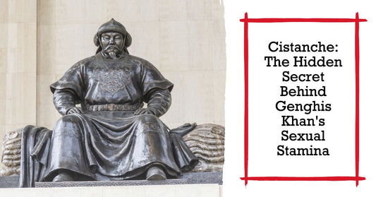 Cistanche: The Hidden Secret Behind Genghis Khan's Sexual Stamina