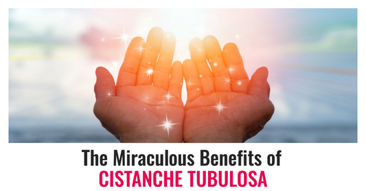 The Miraculous Benefits of Cistanche Tubulosa