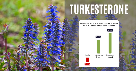 Turkesterone UK: A Comprehensive Guide to This Muscle-Building Supplement