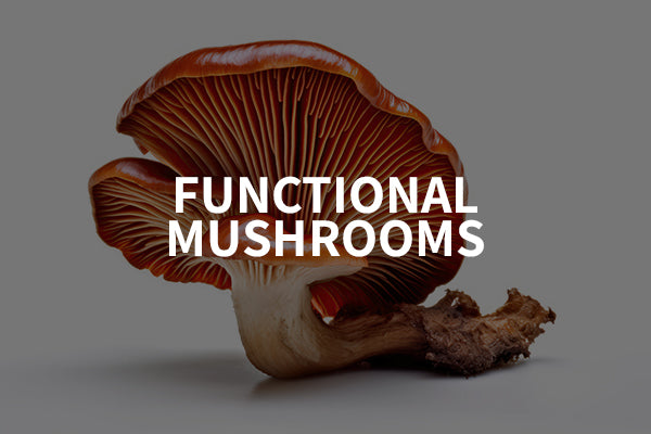Functional Mushrooms