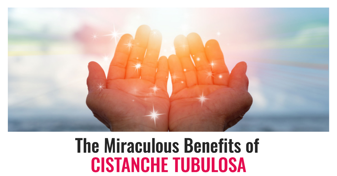 The Miraculous Benefits of Cistanche Tubulosa