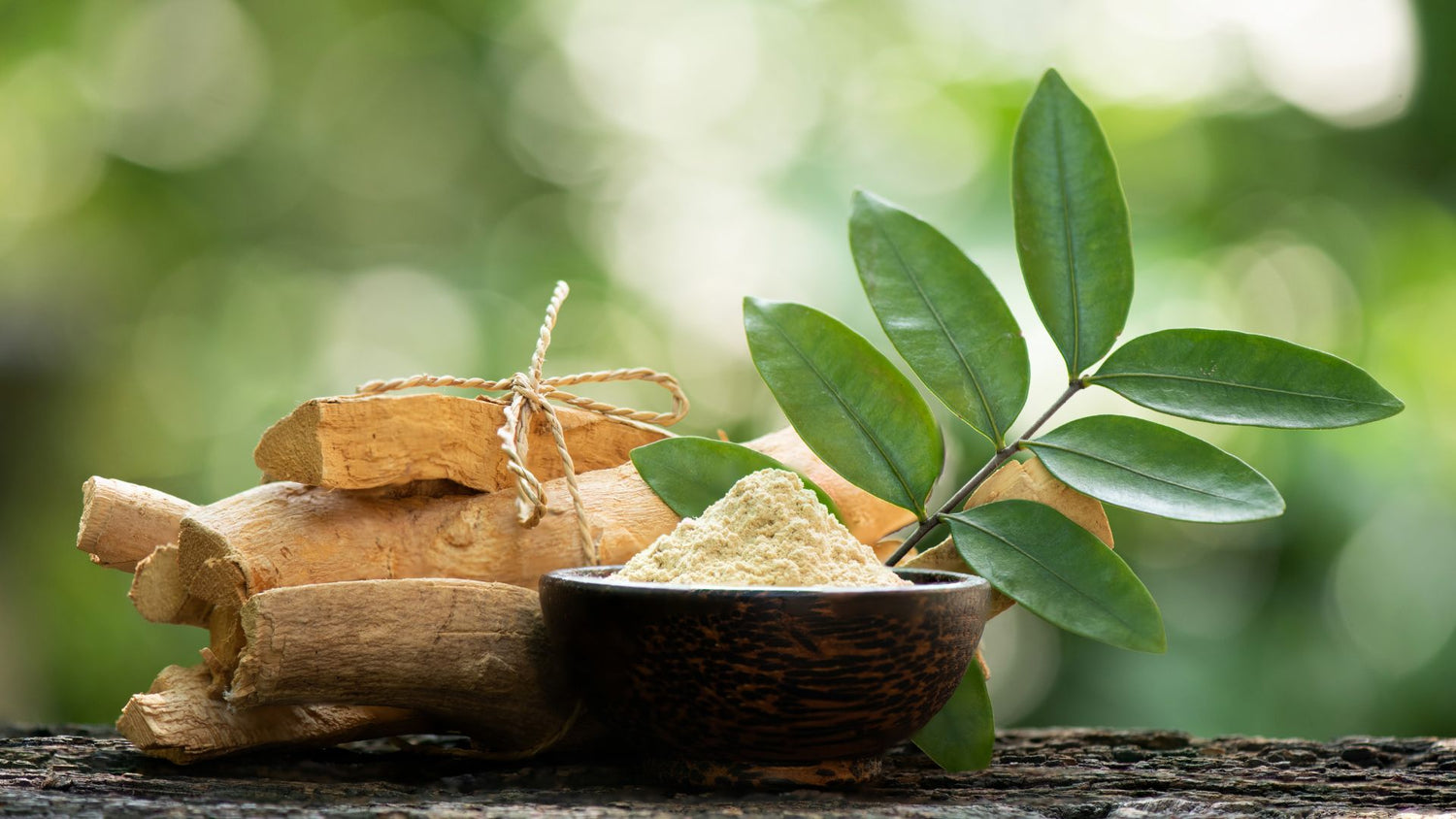 Tongkat Ali The Comprehensive Guide to Boosting Testosterone Naturally