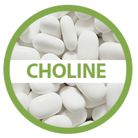 Choline